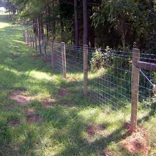 Grassland Fence